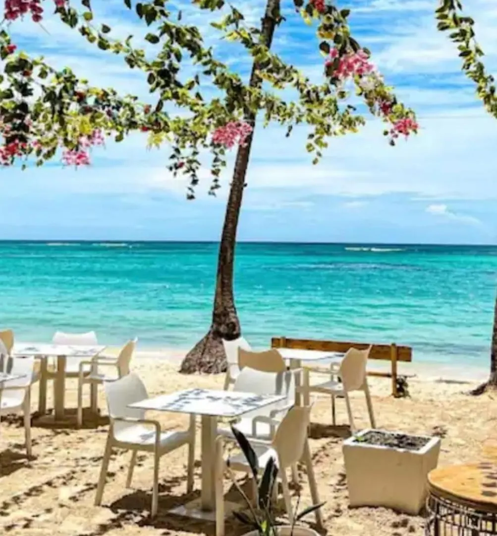 Apartment Fantastico Lugar En El Centro De Los Corales Rd Punta Cana